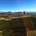 Exploring Temecula Wine Country: A Guide to Rancho California Road
