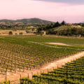 Taste and Stay Package: Exploring Temecula's Wine Country