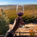 Explore the Best Wine Tours in Temecula's Historic Old Town