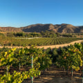 Exploring Temecula's Wine Country: A Guide to Rainbow Canyon Road