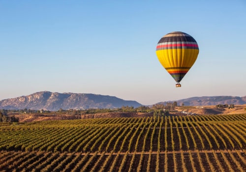 Customized Group Tour Packages for Exploring Temecula Wine Country