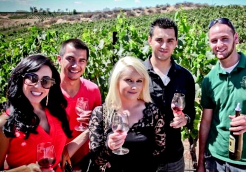 Private Tasting with Winemaker: A VIP Experience in Temecula Wine Country