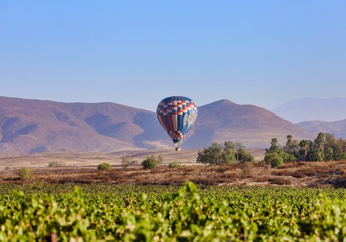 Discover the Beauty of Temecula's Wine Country with Hot Air Balloon Wine Tours