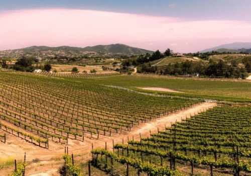 Exploring Temecula's Wine Country: A Complete Guide