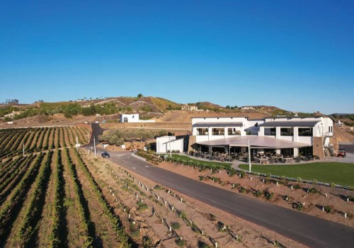 Discounted Wine Bottles from 7-9pm: Your Guide to Temecula Wine Tasting Deals
