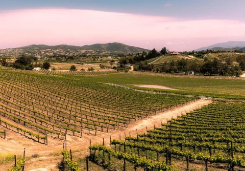 Discover the First Winery in Temecula: A Journey Through Time